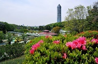 57青木正由「タワー遠望」.jpg